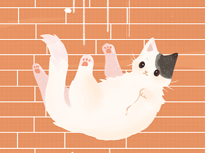 条漫插画-猫咪血型故事