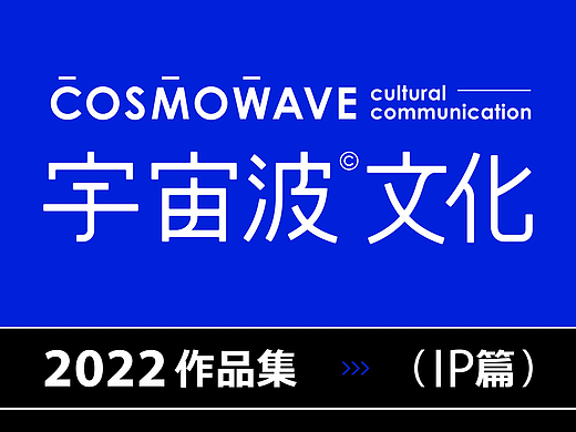 宇宙波文化2022年度总结IP篇