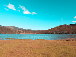 一段宁静、自然的心灵之旅