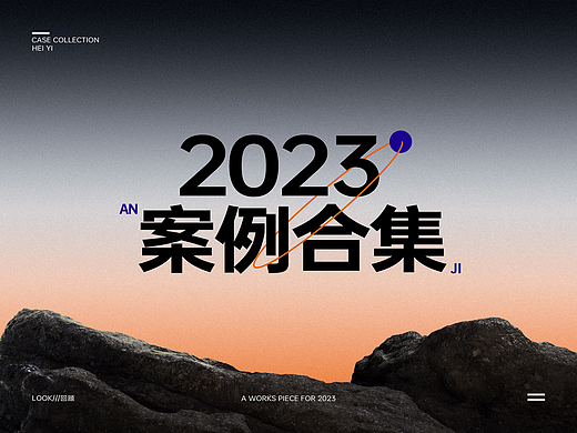 2023年案例总结