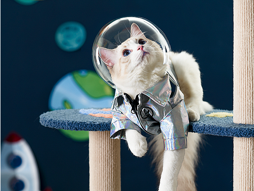 宠物用品拍摄|太空猫爬架