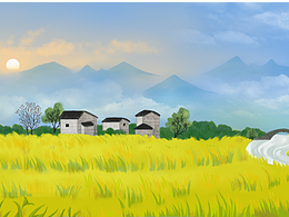 清晨的鄉(xiāng)村