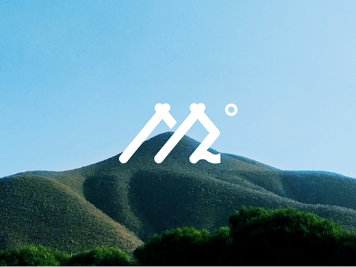 VIS I 贵州十九度冷泡果茶