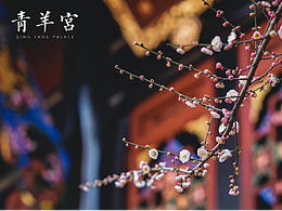 成都║青羊?qū)m   古寺殘枝含梅笑