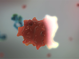 三维动画制作收费标准