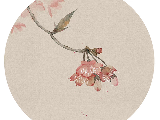 早樱（个人主页-ZNjQzNjE2OTI=） - 创作习作 - 站酷设计师苟大妞原创素材 - 站酷ZCOOL