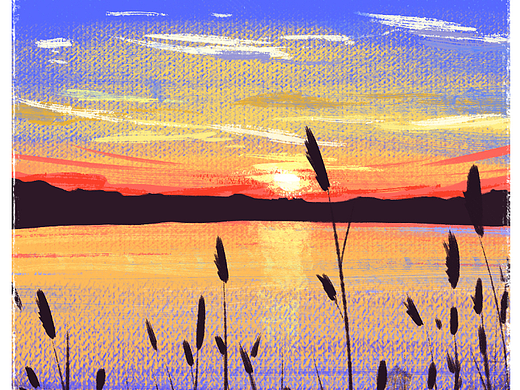 手绘速写打卡D15