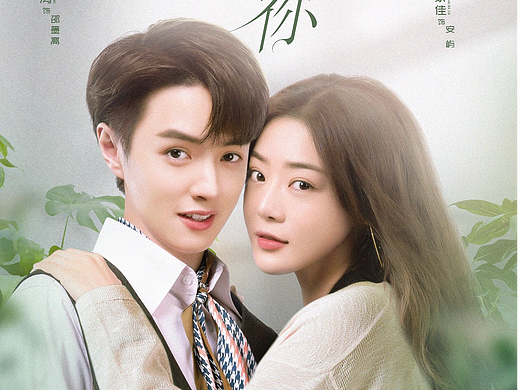 致勇敢的你-关系海报