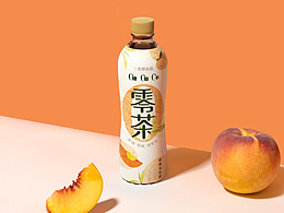 设计提案