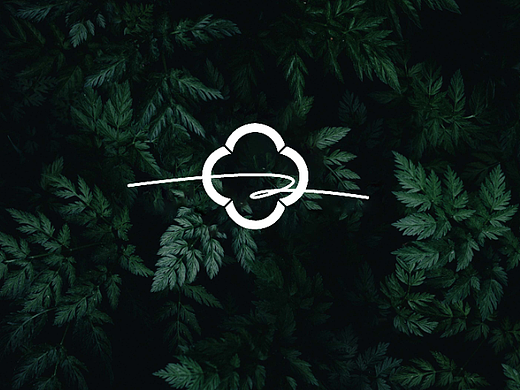 美业品牌Logo及Vi设计