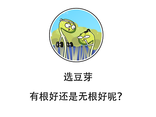 选豆芽，有根好还是无根好呢？