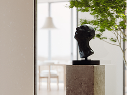 山雀 — 极影视觉