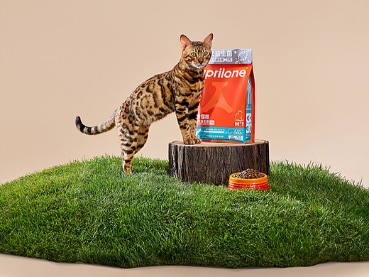 Aprilone四月名 || 宠物美食-猫粮