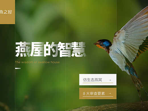 展厅多媒体交互界面