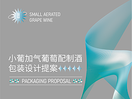 小葡加气葡萄配制酒包装设计提案