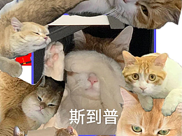 带薪玩VR游戏&撸猫&撸图&健身 尊嘟假嘟