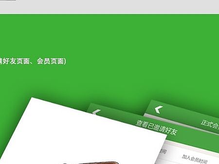 第一次整理一套手机的ui，严格来说是个微商城，参考临摹大师的，请指导