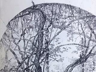 樹木（二）（個人主頁-ZNzMwNjg0MA==） - 繪畫 - 站酷設(shè)計師隨風夢囈原創(chuàng)素材 - 站酷ZCOOL