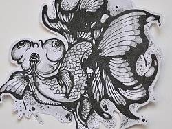 -°璃鱼浅戈菇凉止于终老-