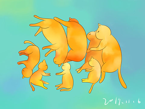 一团猫