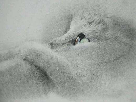 色粉畫系列（個人主頁-ZMTcyMzY1OTY=） - 繪畫 - 站酷設(shè)計師雞尾原創(chuàng)素材 - 站酷ZCOOL