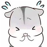 少年阿白的头像