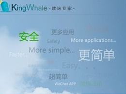 KingWhale建站專家