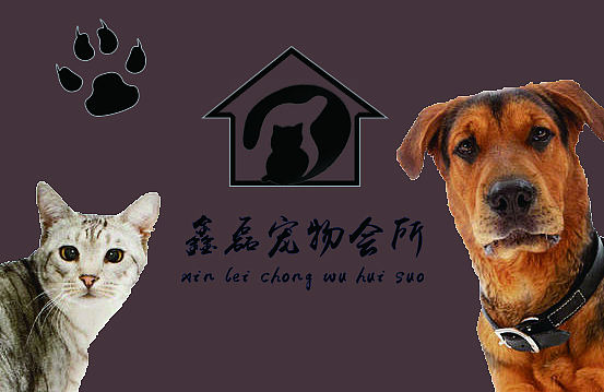 宠物会所个人创意