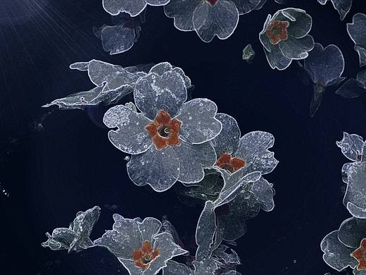 虚镜之空──刘浪ps绘画作品集