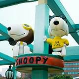 MPintop的头像