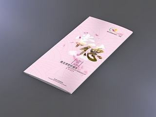 桃花源里的城市-常德 / 旅游宣传折页