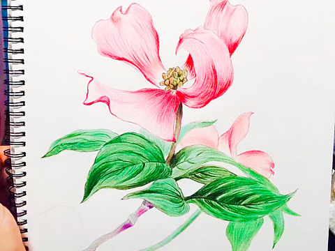 彩铅绘画（个人主页-ZMjg0ODY2MDA=） - 绘本 - 站酷设计师SHMmn原创素材 - 站酷ZCOOL