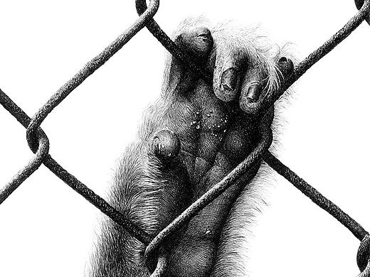 OY钢笔画：自由