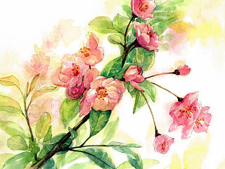 2014年6月绘画练习