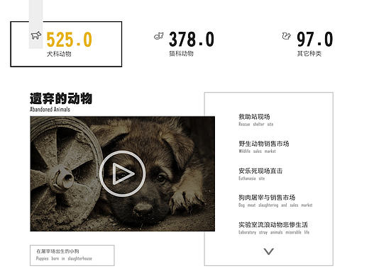 流浪宠物网站