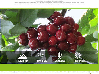 淘宝天猫 樱桃 水果详情页设计