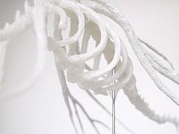 《詩經》中的昆蟲