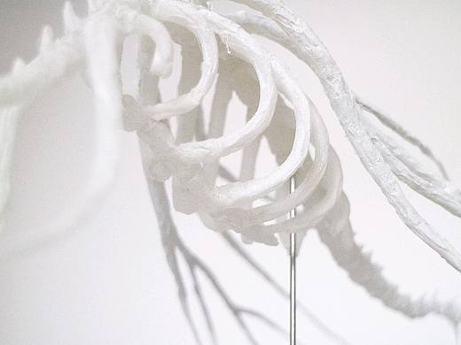 《诗经》中的昆虫