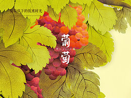 围挡