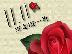双十一求女友一枚