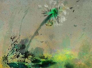 风中的蒲公英#动漫作品#（个人主页-ZMzQ2NzU3Ng==） - 其他动漫 - 站酷设计师在路上1303原创素材 - 站酷ZCOOL