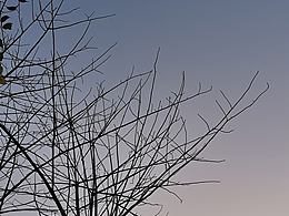 手機(jī)攝影練習(xí)-1