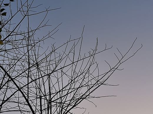 手机摄影练习-1（个人主页-ZNTg5MzM5MzI=） - 风光摄影 - 站酷设计师草菡JF原创素材 - 站酷ZCOOL