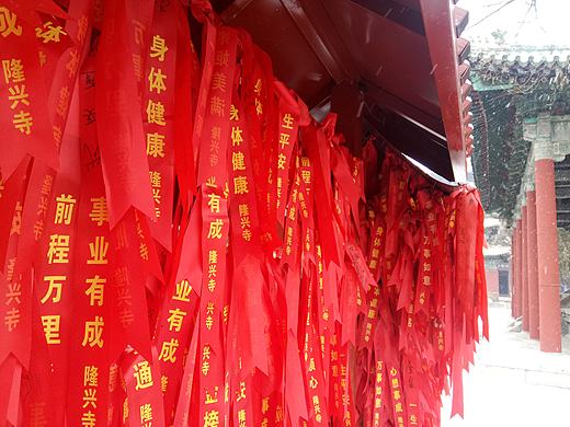 闲拍~