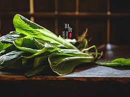 茶 茶具 传统文化