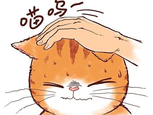 《带上橘猫去旅行》第二话01