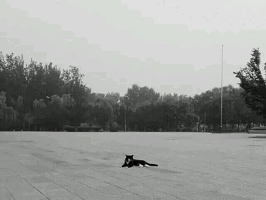 山本耀斯说:"自己这个东西是看不清的，撞上一些别的什么反弹回来，才会了解自己。"（个人主页-ZMTkxNDQ5MTI=） - 其他摄影 - 站酷设计师Mary黛安娜原创素材 - 站酷ZCOOL