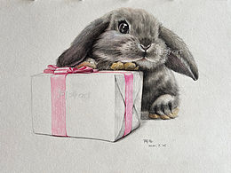 彩鉛禮盒兔
