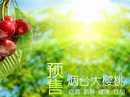 天貓水果店——水果專題頁