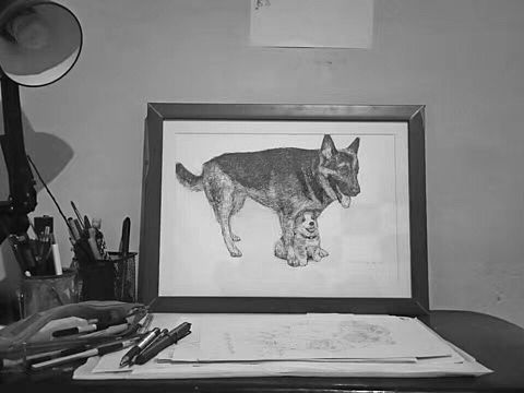 超写实黑白动物手绘